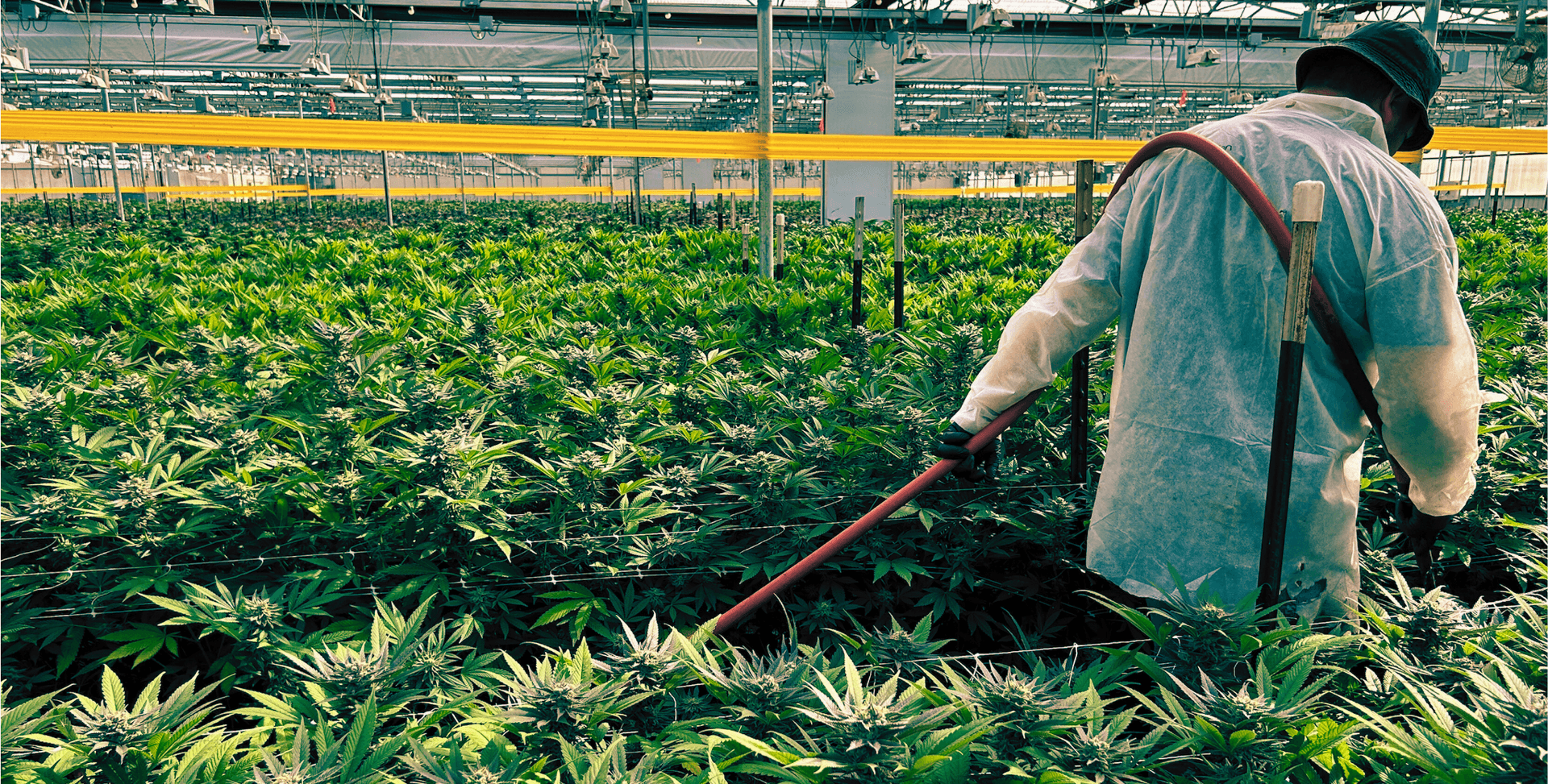 Frequently asked questions about Enjoy The Farm cannabis dispensaries in California